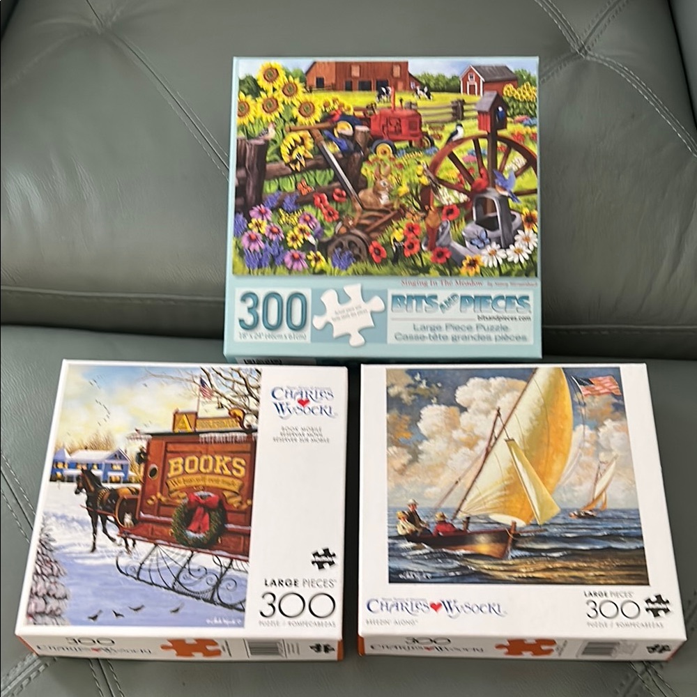 300-Piece Puzzle Set - Colorful Designs